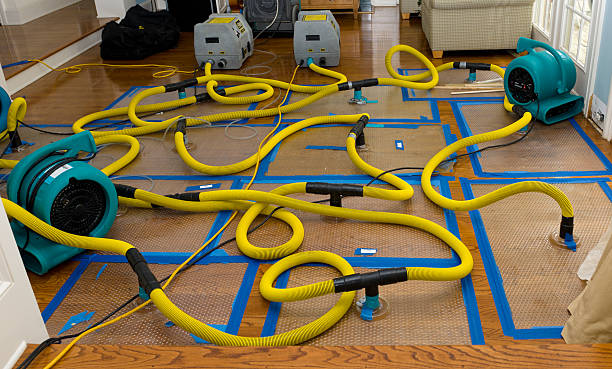 Professional Burst Pipe Water Damage technician working in Payne, OH
